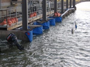 Sheet Pile Wrap Washburn, ND